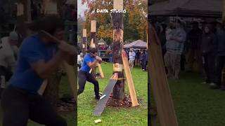 This is the hardest tree cutting challenge in the USA #amazing #facts #usa #shorts #subscribe