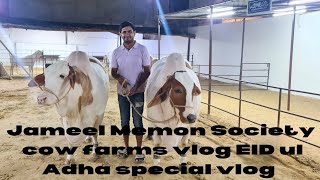 Jameel Memon Society cow farms vlog 2023 eid special vlog mandi