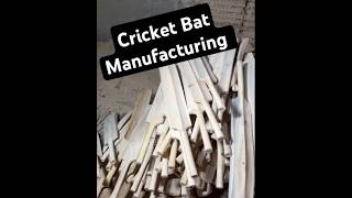 Cricket Batting Manufacturing | Cricket Bat Factory | Cricket Bat Making Video