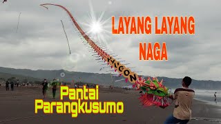 Layang Layang Naga Pantai Parangkusumo Yogyakarta