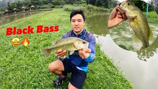 Meu primeiro Black Bass 🎣🙏🏼🍀 (pesqueiro Reino Encantado- Cotia)