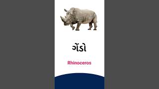 Rhinoceros meaning in Gujarati - English dictionary