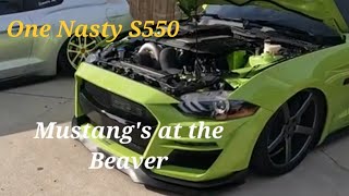 2022 Mustang Week Stangs at the Beaver