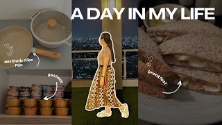 A day in my life | Cooking, Unboxing, Cat food Restock, Errands | Elle’s Diary #dailylifevlog