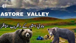 Exploring the Natural Beauty of Gilgit Baltistan | Astore Valley Beautiful Places