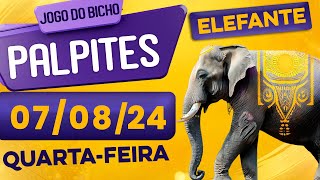 PALPITE DO DIA 07/08/2024 - JOGO DO BICHO 🍀 TODAS AS LOTERIAS 🍀