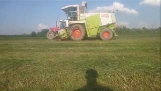 Sianokiszonka 2018 ☆ Claas Jaguar 880 & MF 3080 ☆