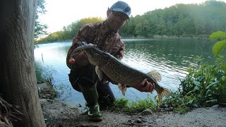 Pesca a Castel dell'Alpi - Spinning al luccio