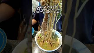 럭셔리한 제주도 고기국수 맛집 모던돔베