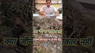 क्या जीने का अधिकार नहीं #paryavarandivas #environmentalDay #shorts #viral #trending #music #song