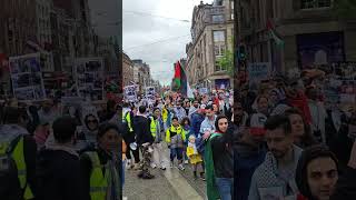 Palestine support in Amsterdam #gaza #palestine #amsterdam #holland #dam