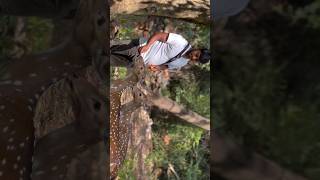 Thirumala Thirupati Trip #shorts #shortvideo #short