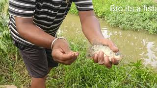 |Catching some thalapia fishes🐟🎣🎣 in flowing water attached to the  pond|🐟🐟