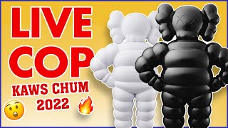 Got em?! LIVE COP KAWS Chum 2022. Watch this video if you missed the drop. Recap, Review and Resell.