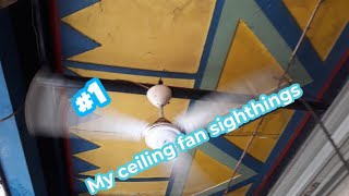 #1 My ceiling fan sighthings