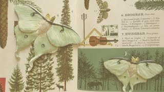 Moths and Mushrooms Part 2 // Mori Girl Crafting