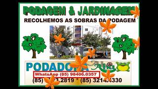 PODA CORTA ARVORE EM BARREIRA CE (85) 3214.4330