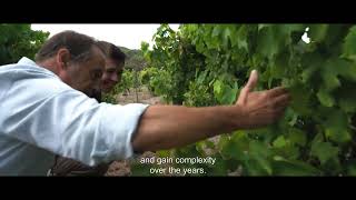 Quinta da Romeira - Harvest 2024 [EN] | Sogrape