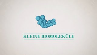 Kleine Moleküle – Vitamine, Hormone und Neurotransmitter