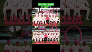 Pink Test Match at SCG 🏏💜  #scg #cricket #shortsfeed #pakvsaus