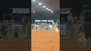 Bull Rider Hangs on For Dear Life... #shorts