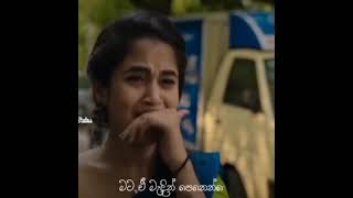 Obe Nil Nuwan Thalawe | ඔබෙ නිල් නුවන් තලාවේ | Amisha Minol | අමීෂ මිනෝල් | Cover Song