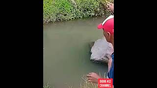 Mancing Wader Babon Haup Galak / Fishing For Big and Fierce Barb #Shorts