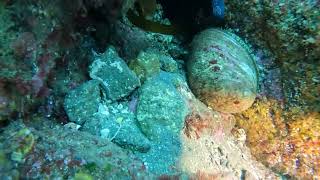 Anacapa Island