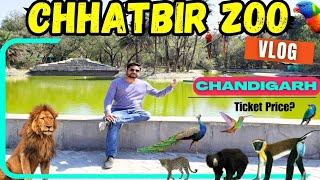 Chhatbir Zoo || Chandigarh Tourist Place | Ticket Price Zoo  || Vlog Zoo | Chidiya Ghar 2024