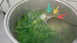 Cara merebus Daun Pepaya Agar tidak Pahit / How to boil papaya leaves so they are not bitter