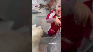 Alice com seu cãozinho