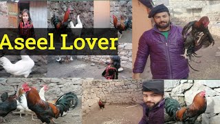 Pure Aseel Murga/saad Qayyoom Vlog