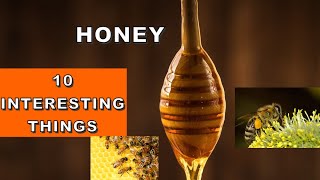 Honey | 10 Interesting Things | Uses | InFOteresting | Facts