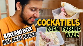 Cocktails Poem Parhny wale | Biryani Box mai agai Breed 🕊️🐣