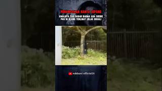 MUNCUL PENAMPAKAN HANTU DI JEPANG #shortsviral #horror #scarry