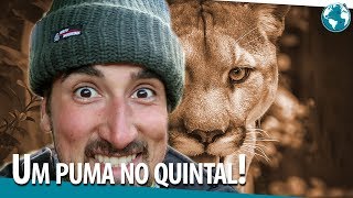 PUMAS NÃO ATACAM BRASILEIROS, SERÁ?! ⎮ Torres del Paine ⎮ T1・EP31