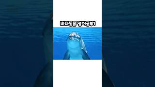 바다동물 영어 1 ㅣ Sea Animal Voca  l Marine Animals l 하루 1분 영어공부