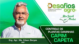 Controle de Plantas Daninhas Capim Capeta