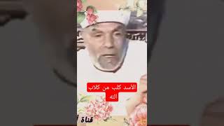 الأسد كلبٌ من كلاب الله العلامة محمد متولي الشعراوي رحمة الله تغشاه