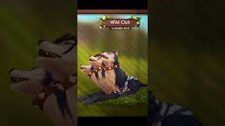 Wildcraft new update ✨ club mystic ✨ wolf edit! 😍💞🐾👑