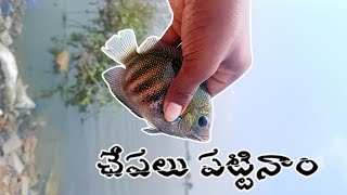 Fishing Video || Naveen Creations know very well the proper method of catching fish from the pond