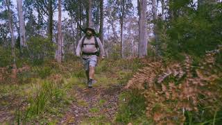 Manning River, Barrington Tops State Forest