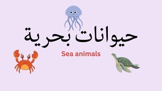 Sea animals in Arabic (Levantine dialect)