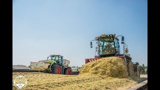 Mais häckseln // 2x 9800i 2x Claas Xerion // BLUNK / Oegelner Fließ Dienstleistungs GmbH