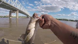 Bank Fishing Cincinnati