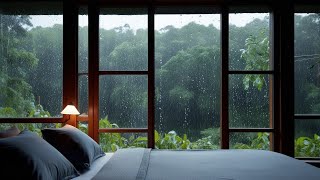 Is This the MOST RELAXING Rainforest Sound for a Perfect Night's Sleep?