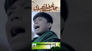 Amjad baltistani / janam fida e haideri / full screen status/ #shorts video / Muhammadi pak TV