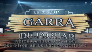 INTRODUCCION GARRA DE JAGUAR EN SANTA MARIA CA.2019