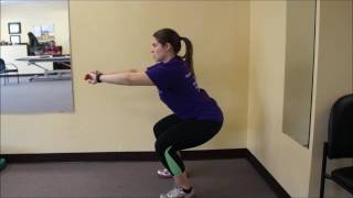 lower extremity squat