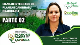 Manejo Integrado de Plantas Daninhas / Brachiaria / Parte 02